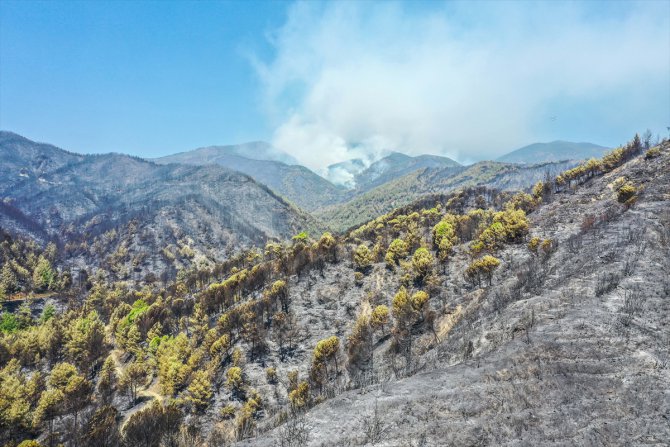 Hatay'daki yangın alanı havadan görüntülendi