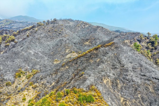 Hatay'daki yangın alanı havadan görüntülendi