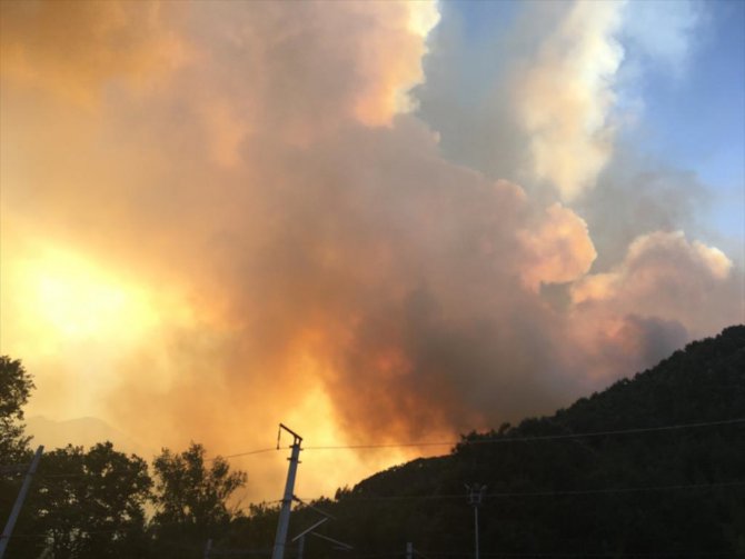GÜNCELLEME 3 - Adana'da orman yangını