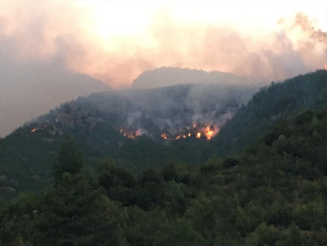 GÜNCELLEME 6 - Adana'da orman yangını