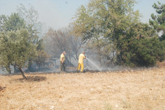 Çanakkale'deki yangında 50 dönüm tarım arazisi zarar gördü