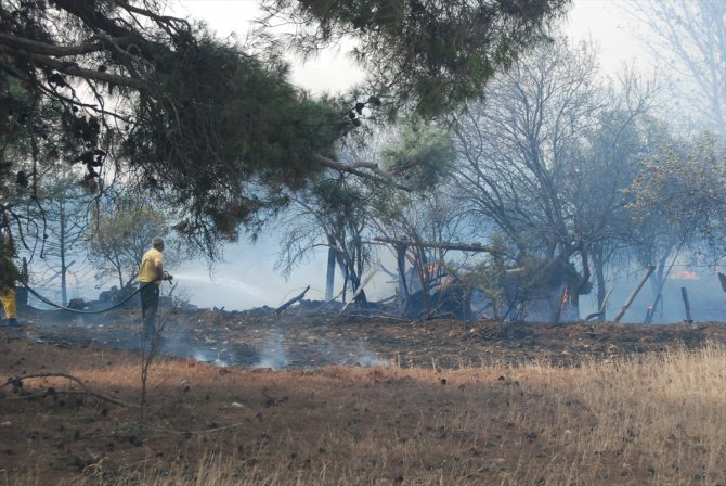 Çanakkale'deki yangında 50 dönüm tarım arazisi zarar gördü