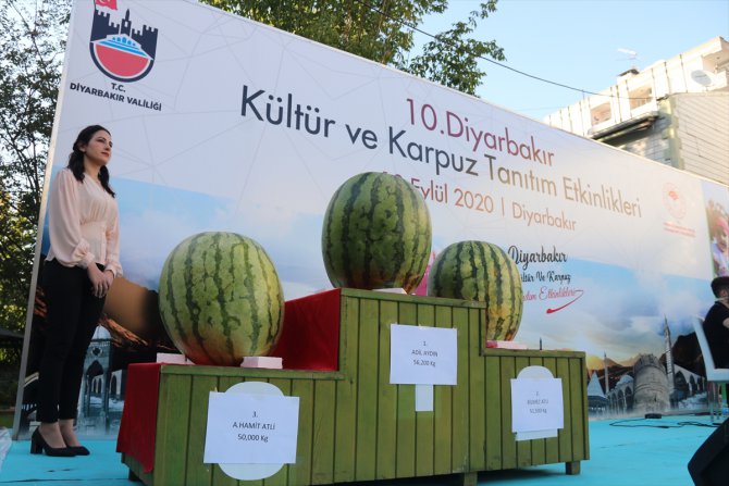 Diyarbakır'da "kültür ve karpuz tanıtım etkinliği" düzenlendi