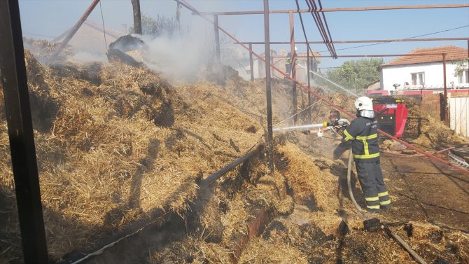 Aydın'da çıkan ev yangınında 1 kişi dumandan etkilendi