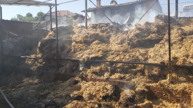 Aydın'da çıkan ev yangınında 1 kişi dumandan etkilendi