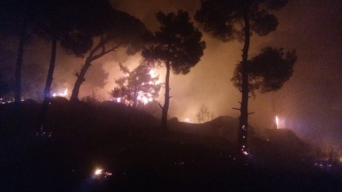 GÜNCELLEME - Aydın'da ormanlık alanda çıkan yangın kontrol altına alındı