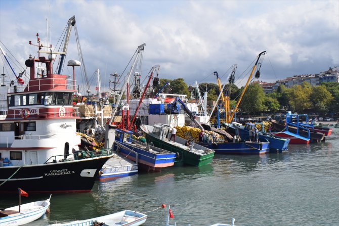 Batı Karadeniz'de balıkçılar poyraz nedeniyle limana demirledi