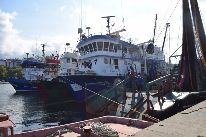 Batı Karadeniz'de balıkçılar poyraz nedeniyle limana demirledi