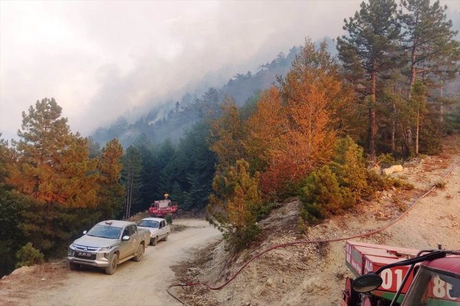 GÜNCELLEME - Osmaniye'deki orman yangınına müdahale ediliyor