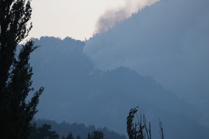 GÜNCELLEME 2 - Adana'daki orman yangınına havadan müdahaleye ara verildi