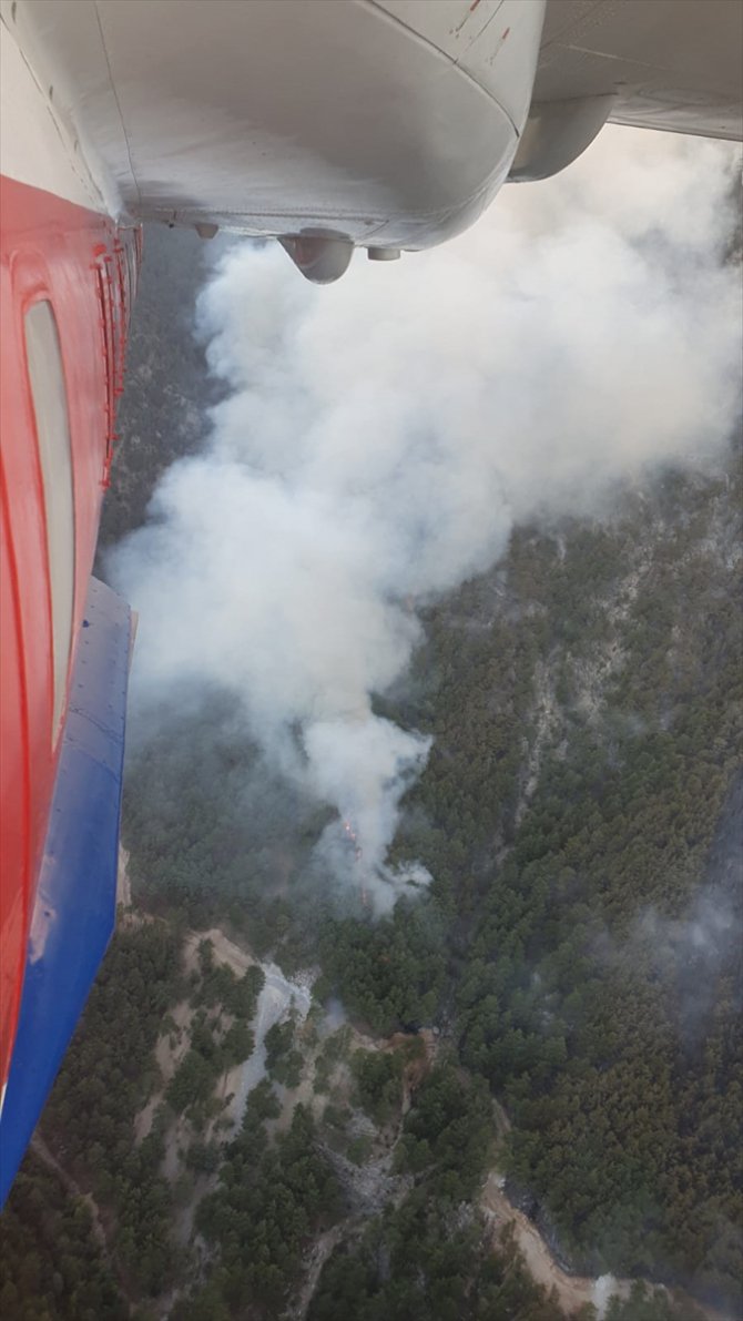 Orman Genel Müdürü Karacabey'den Adana'daki orman yangınına ilişkin açıklama:
