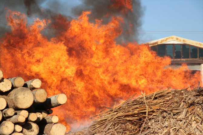 Erzincan'da orman ürünlerini işleyen fabrikada çıkan yangın güçlükle söndürüldü
