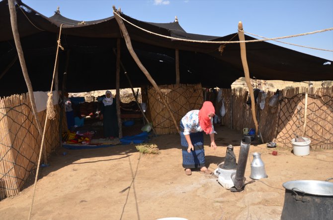 Sıcak bölgelerden Muş'a gelen göçerler yılın büyük bölümünü kıl çadırlarda geçiriyor