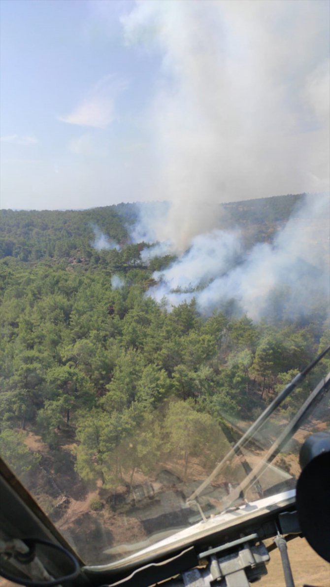 Muğla'da orman yangınına hava ve karadan müdahale ediliyor