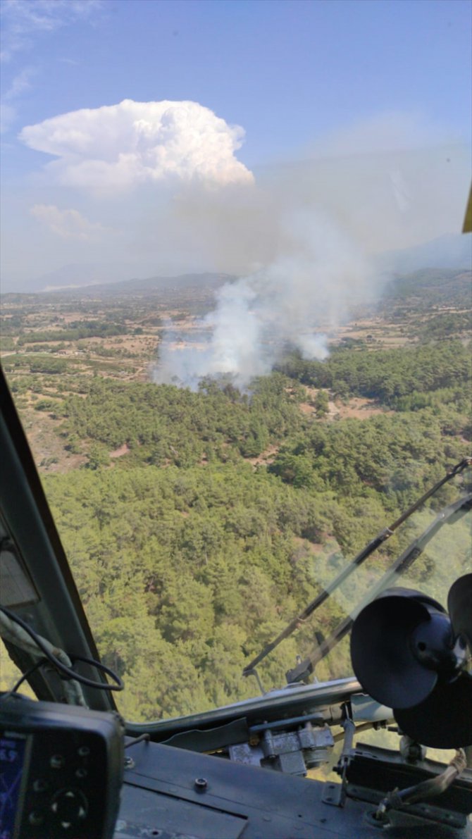 Muğla'da orman yangınına hava ve karadan müdahale ediliyor