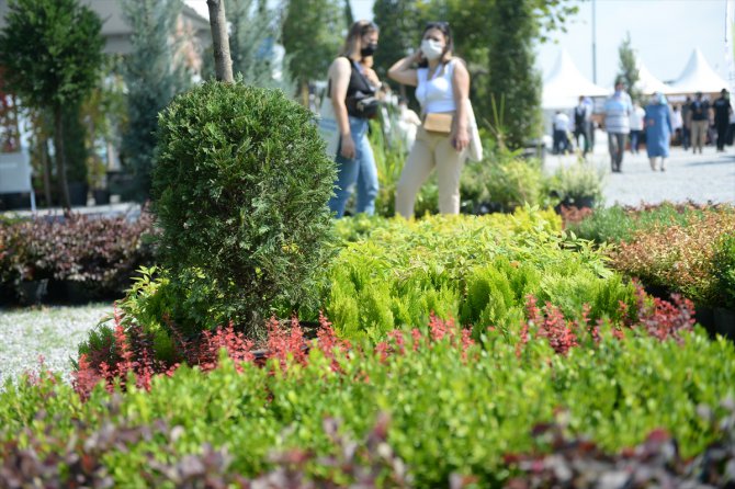 Sakarya Peyzaj ve Süs Bitkiciliği Festivali başladı