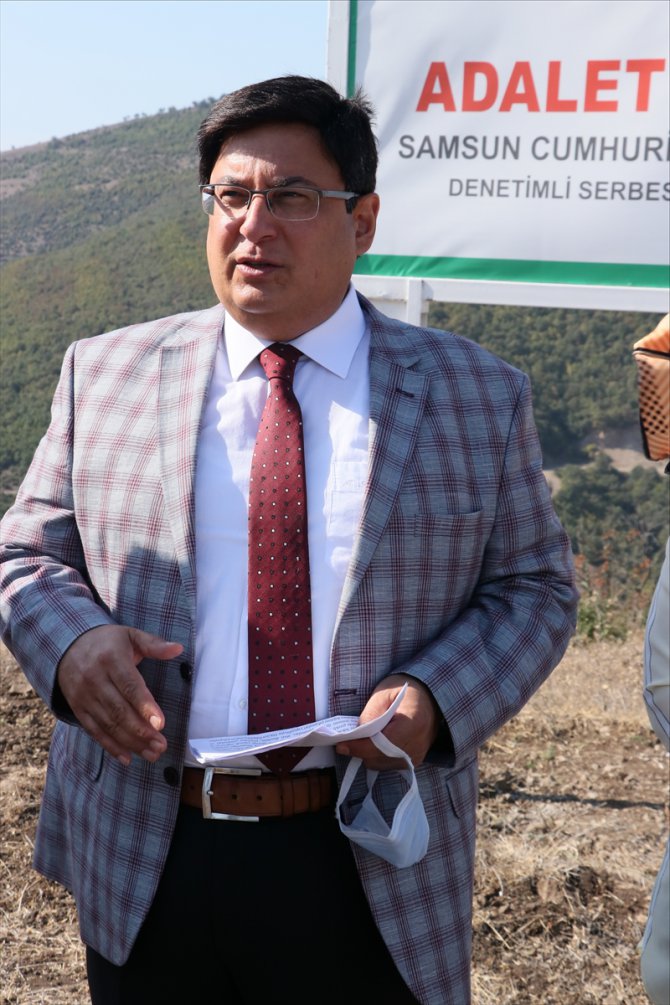 Samsun'da hükümlüler 465 bin metrekarelik alana fidan dikti