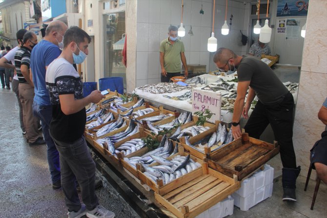 Sinop'ta denize açılan balıkçılar limana 600 kasa palamutla döndü