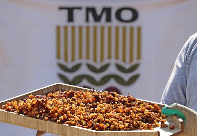 TMO 10 günde 10 bin ton kuru üzüm aldı