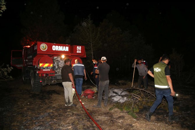 Kastamonu'da orman yangınında 5 dekar alan zarar gördü