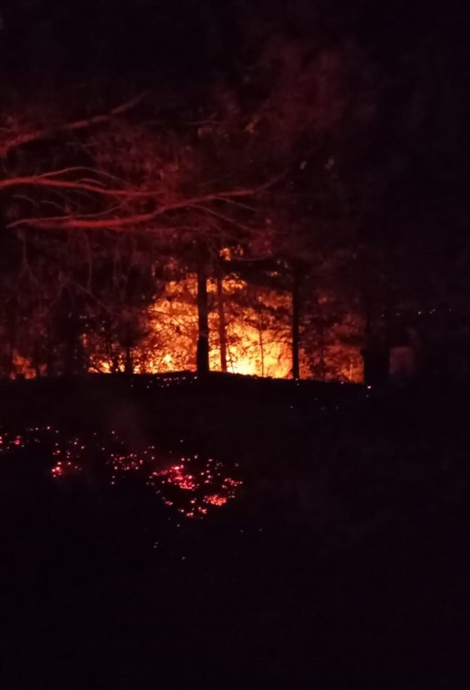 Kastamonu'da orman yangınında 5 dekar alan zarar gördü