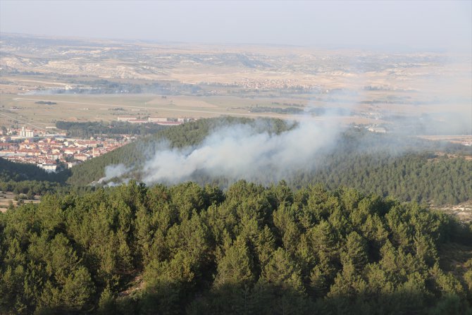 GÜNCELLEME -Kütahya'da orman yangını çıktı