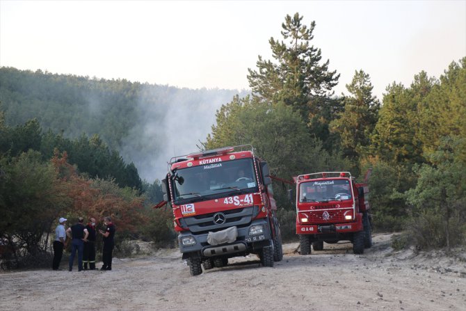 GÜNCELLEME -Kütahya'da orman yangını çıktı