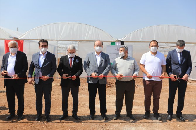 TİKA Suriye'nin kuzeyinde fide üretim merkezi açtı