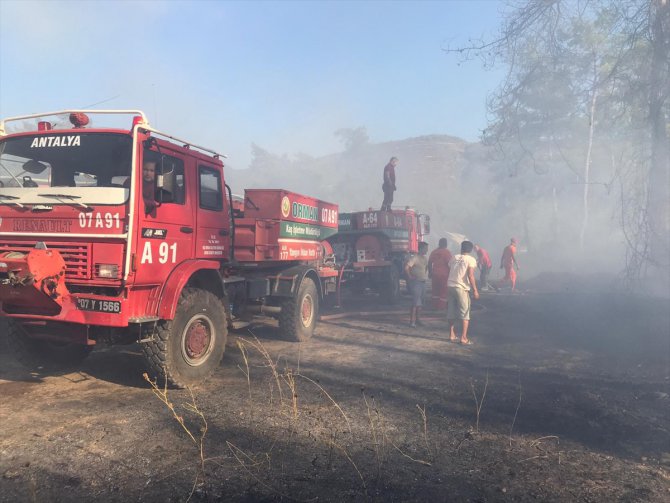 Antalya'da seralara da sıçrayan orman yangınına müdahale ediliyor
