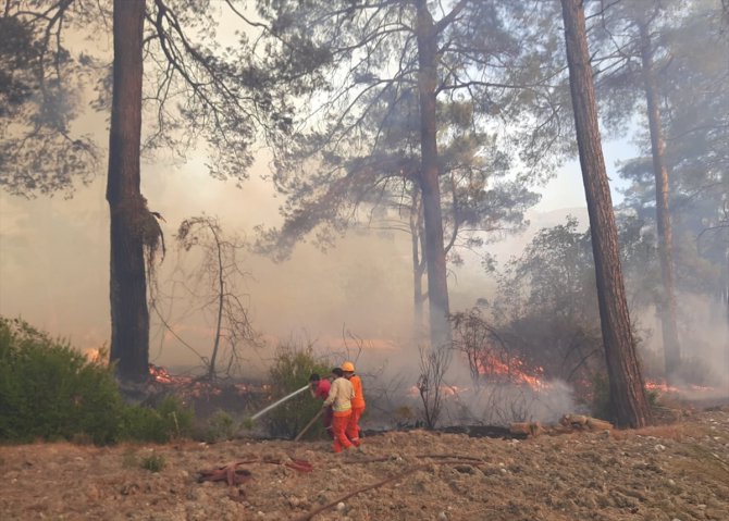 Antalya'da seralara da sıçrayan orman yangınına müdahale ediliyor