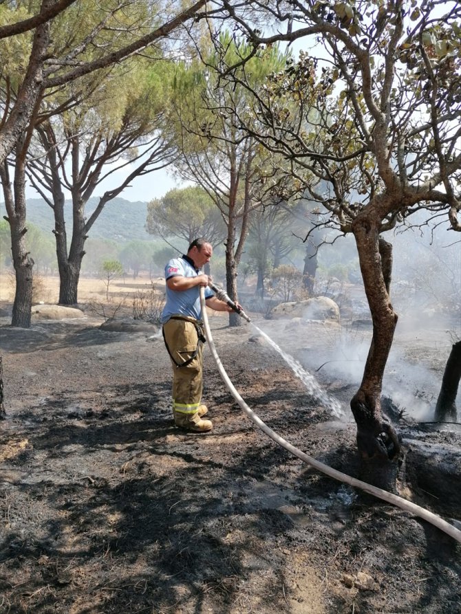 Ayvalık'taki orman yangını söndürüldü
