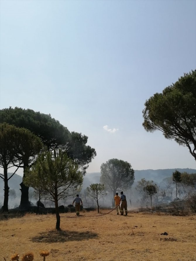 Ayvalık'taki orman yangını söndürüldü