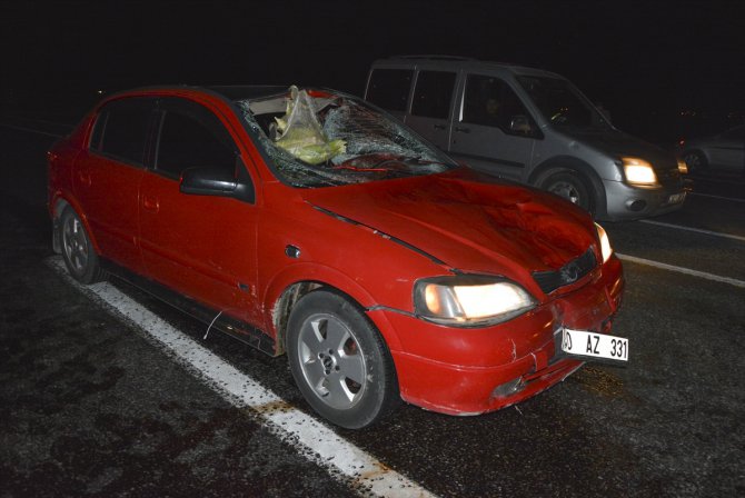 Ağrı'da otomobilin çarptığı kişi öldü