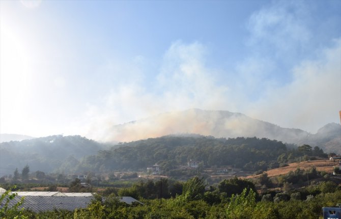 GÜNCELLEME - Antalya'da çıkan orman yangını kontrol altına alındı