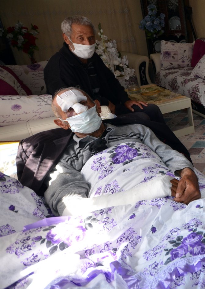 Kars'ta ayı saldırısına uğrayan kişi yaralandı