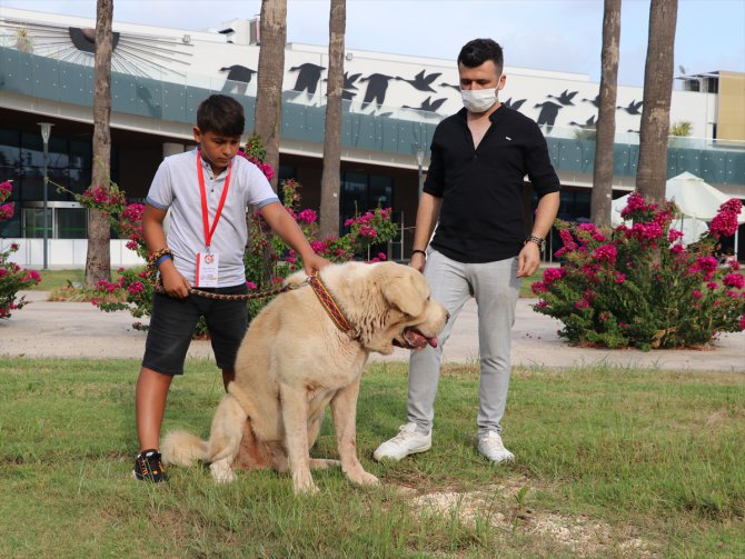 Antalya'da hayvanseverlerin buluştuğu "PETZOO" fuarı sona erdi