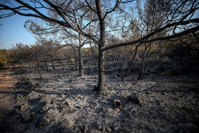 GÜNCELLEME 5 - Balıkesir’deki orman yangını kontrol altına alındı