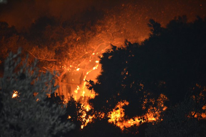 Balıkesir’deki orman yangınına müdahale sürüyor