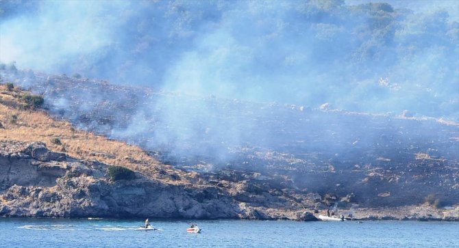 Bodrum'da Büyük Ada'da çıkan yangın söndürüldü