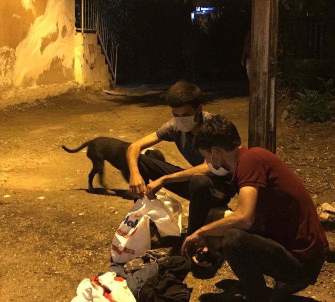 Adana'da hırsızlık şüphelisini "Zümrüt" isimli köpek yakaladı