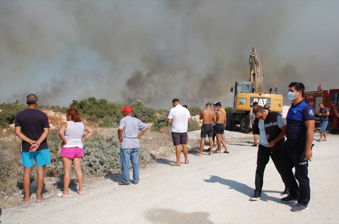 Aydın'da makilik alanda çıkan yangın söndürüldü