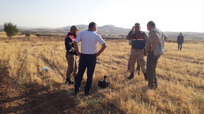 Elazığ'da usulsüz bıldırcın avlayan 9 kişi yakalandı