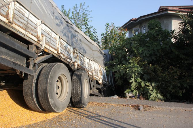 Sakarya'da mısır yüklü kamyon evin bahçesine girdi: 1 yaralı