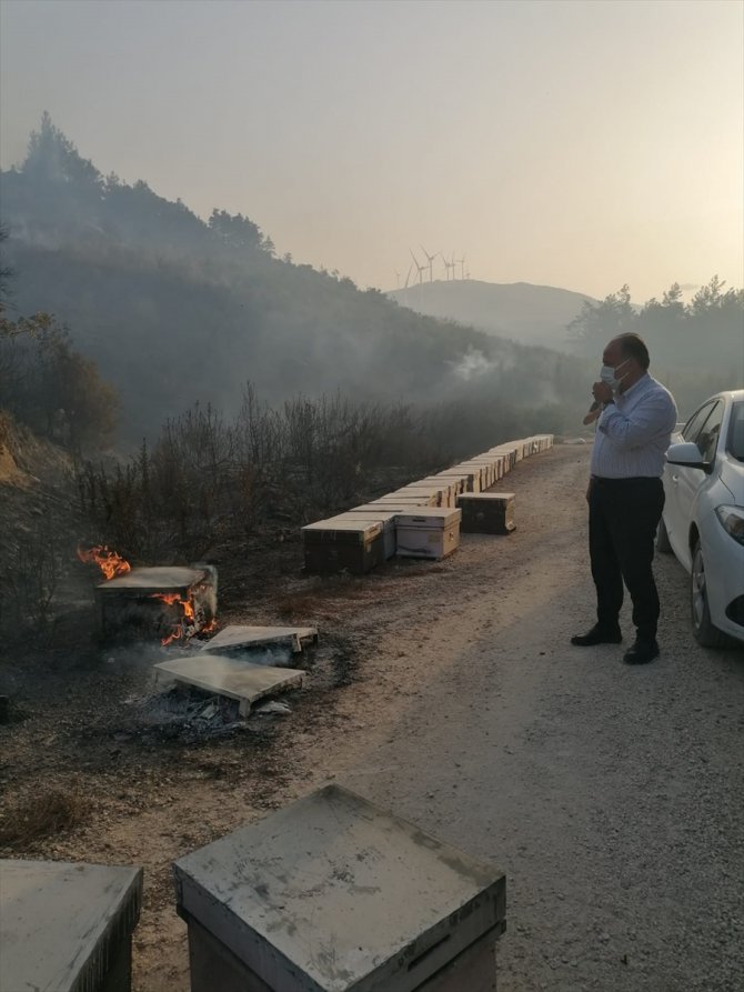 GÜNCELLEME 2 - Aydın'da zeytinlik ve makilik alanda çıkan yangın ormana sıçradı