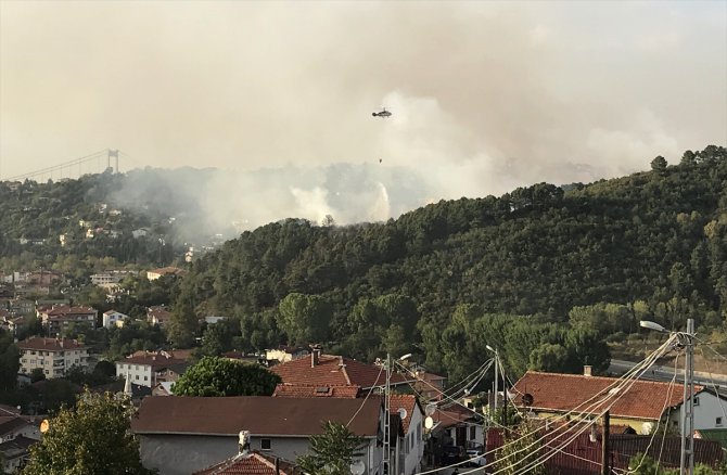 GÜNCELLEME - Beykoz'da ormanlık alanda yangın