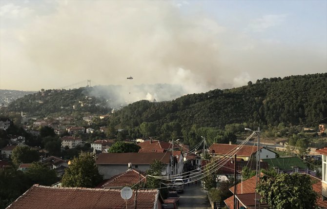GÜNCELLEME - Beykoz'da ormanlık alanda yangın