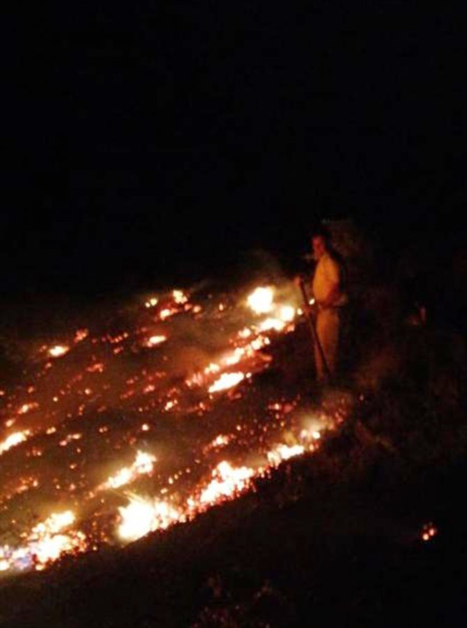Elazığ'da Mastar Dağı'nda çıkan örtü yangını söndürüldü