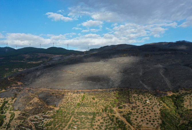 GÜNCELLEME 2 - Aydın'daki orman yangını kontrol altına alındı