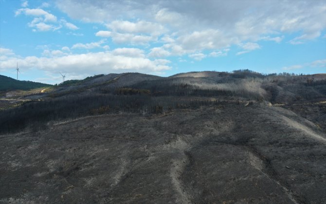 GÜNCELLEME 2 - Aydın'daki orman yangını kontrol altına alındı