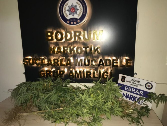 Muğla'da uyuşturucu ticareti iddiasıyla 12 zanlı tutuklandı